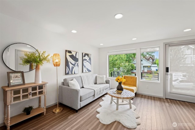 living room featuring hardwood / wood-style flooring