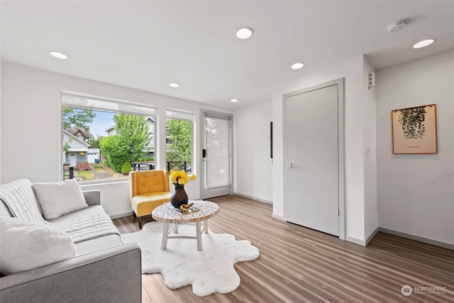 living room featuring hardwood / wood-style flooring