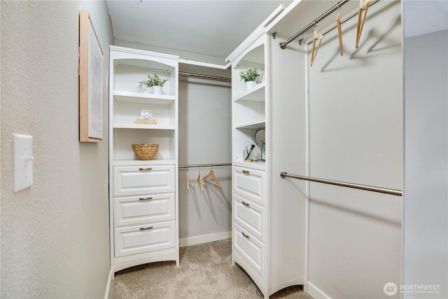 spacious closet featuring light carpet