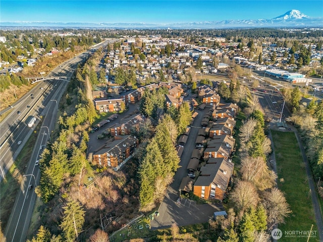 birds eye view of property featuring a mountain view