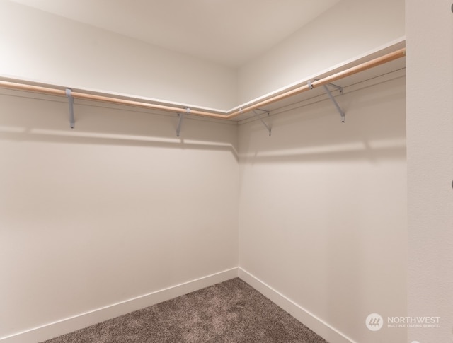 walk in closet with carpet