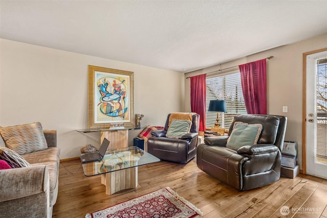 living room featuring light hardwood / wood-style floors