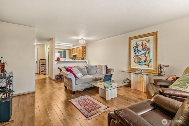 living room featuring light hardwood / wood-style flooring