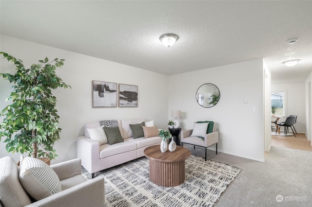 carpeted living room with a textured ceiling