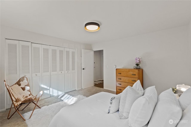 carpeted bedroom with a closet