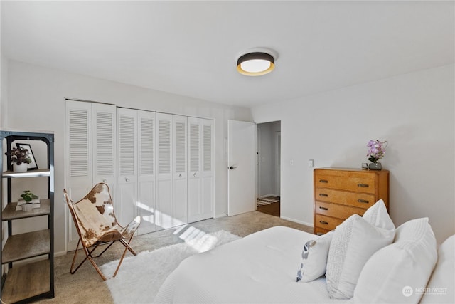 carpeted bedroom with a closet