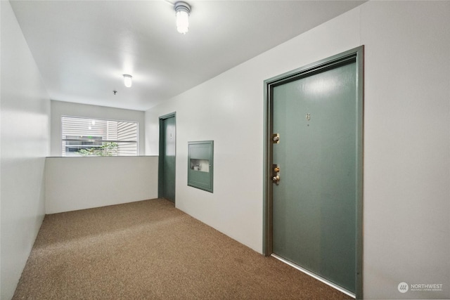 hallway featuring carpet flooring