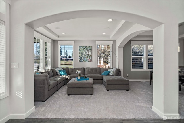 carpeted living room featuring plenty of natural light and a tray ceiling