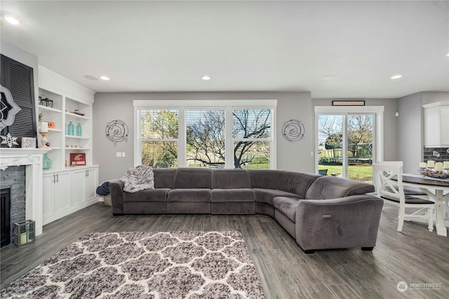 living room with built in shelves and dark hardwood / wood-style floors