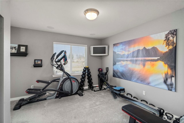 workout area with carpet floors