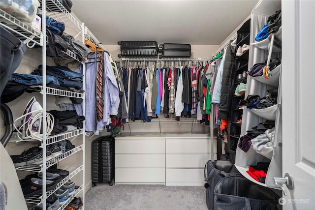 spacious closet featuring light colored carpet