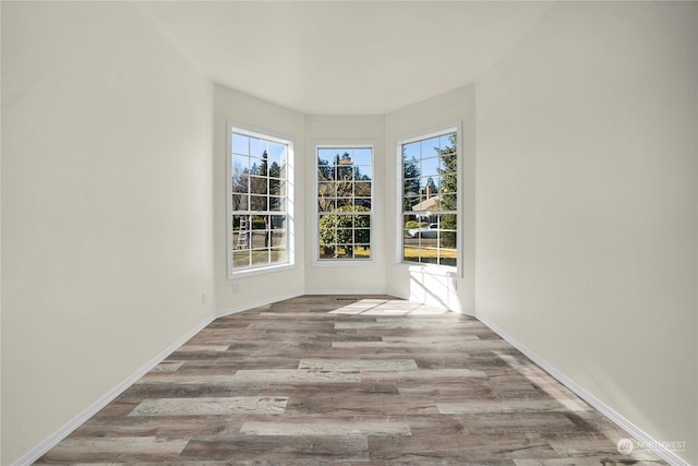 spare room with light hardwood / wood-style flooring and a healthy amount of sunlight