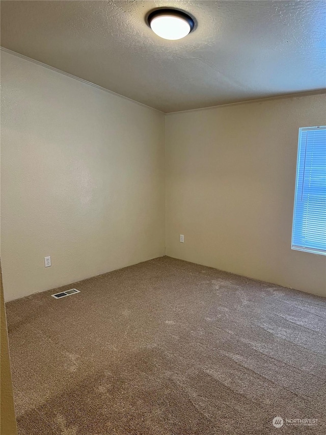 unfurnished room featuring carpet flooring and a textured ceiling