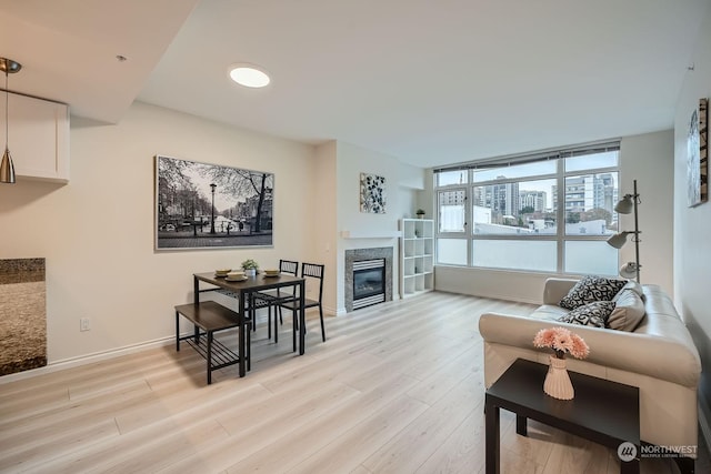 living room with light hardwood / wood-style flooring