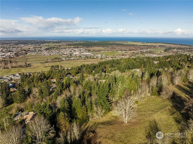 999LOT2 Owls Nest Rd, Sequim WA, 98382 land for sale