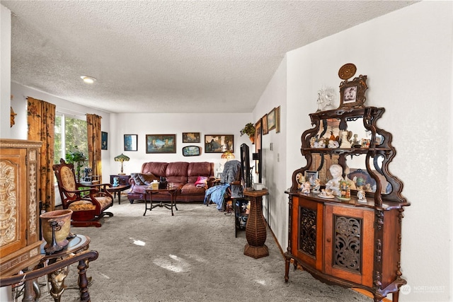 living room with a textured ceiling and carpet