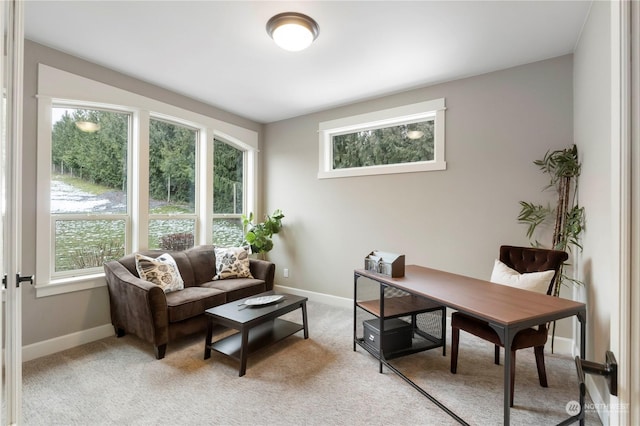 office area with light colored carpet