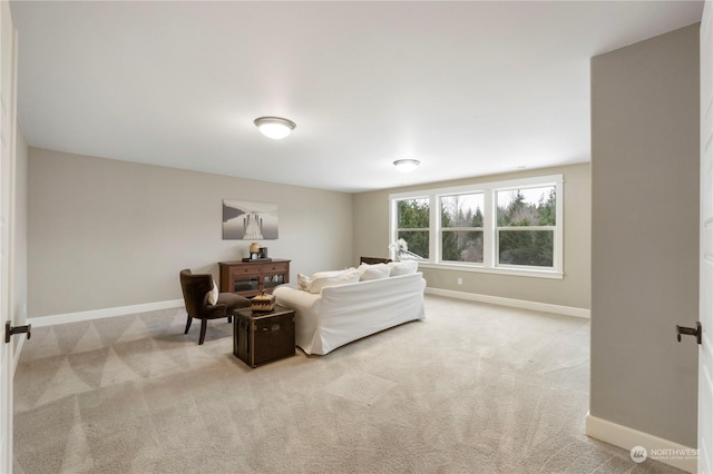 living room featuring light colored carpet