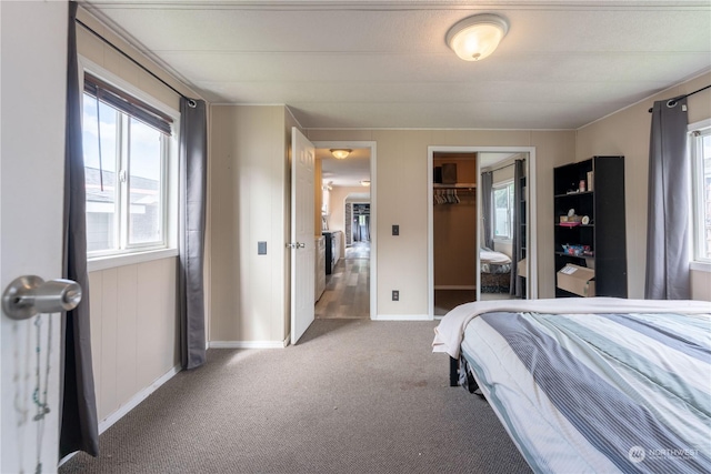 carpeted bedroom featuring multiple windows and a closet