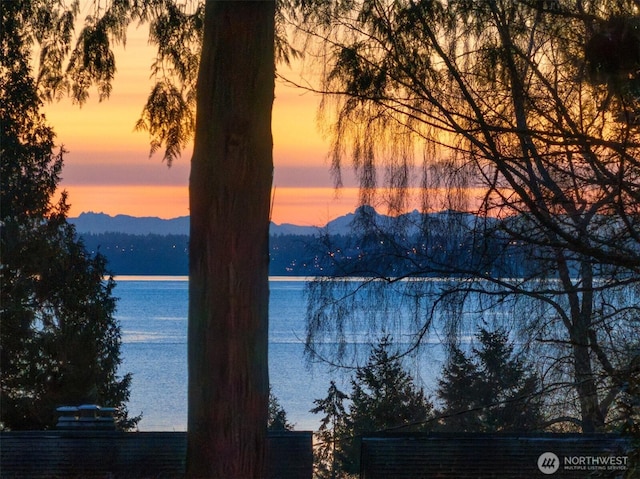 water view featuring a mountain view