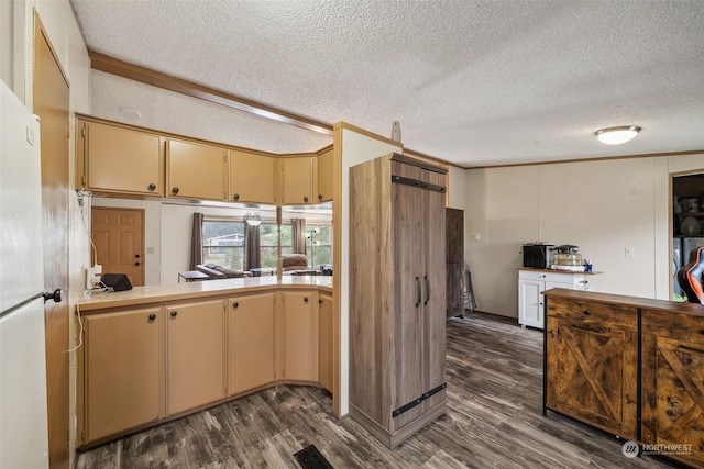 kitchen featuring crown molding, a textured ceiling, dark hardwood / wood-style flooring, and kitchen peninsula