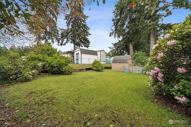 view of yard with a storage unit