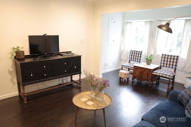 living room featuring dark wood-type flooring