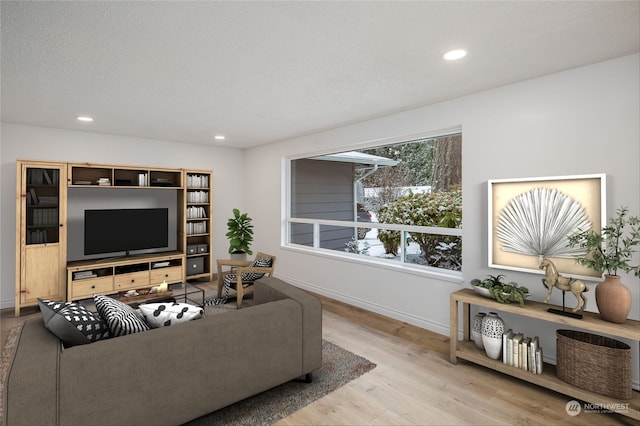 living room with a textured ceiling and light hardwood / wood-style flooring