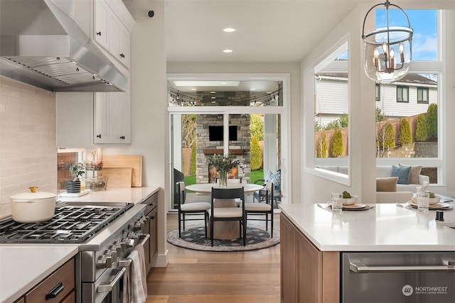 kitchen with white cabinetry, wood-type flooring, ventilation hood, pendant lighting, and stainless steel appliances