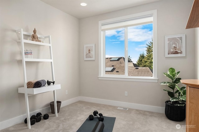 exercise area with light carpet