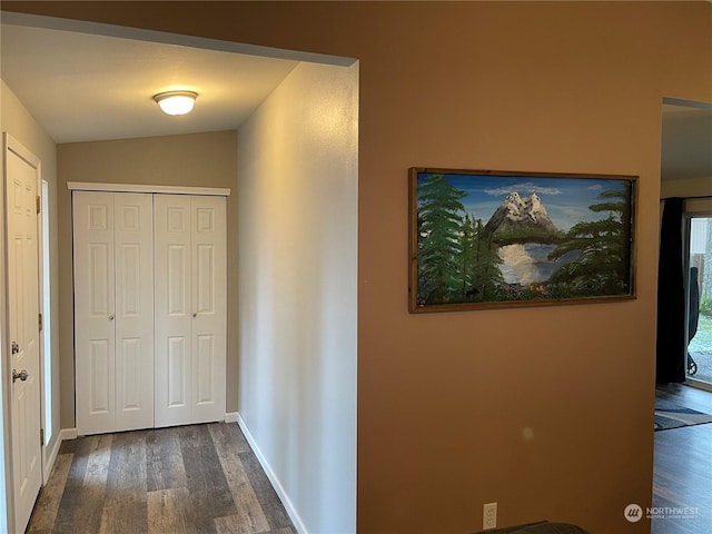 hall featuring dark hardwood / wood-style floors