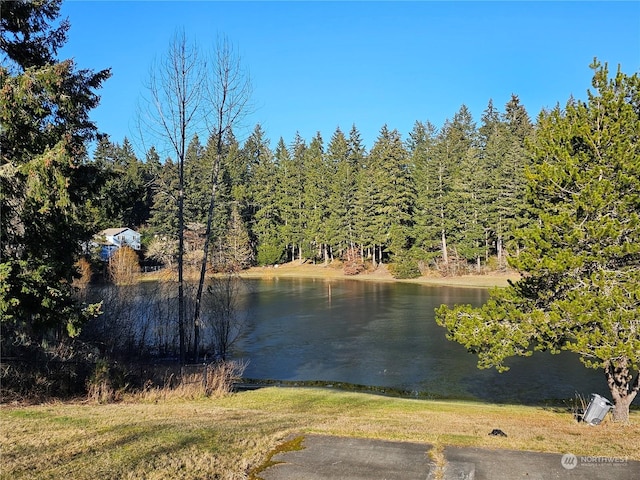 view of water feature