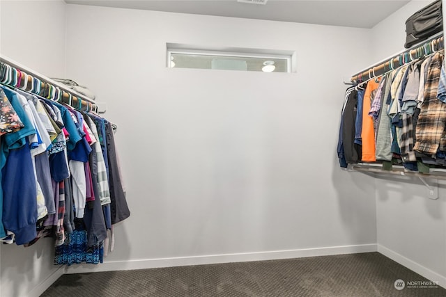 spacious closet featuring carpet floors