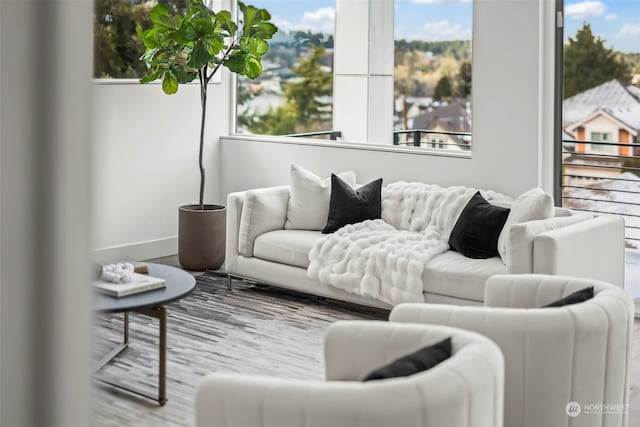 living room featuring hardwood / wood-style flooring