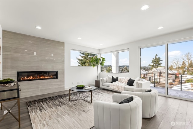 living room featuring a premium fireplace and light hardwood / wood-style floors