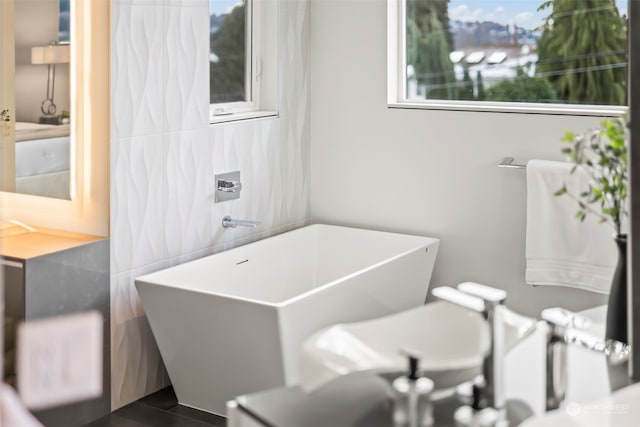 bathroom with a washtub