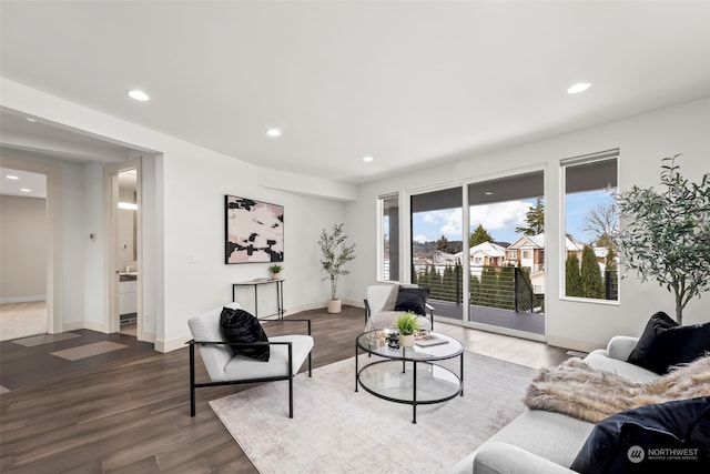 living room with wood-type flooring