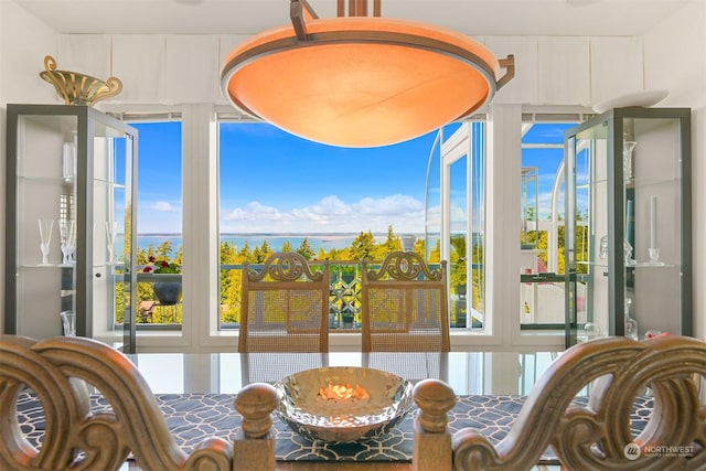 dining room featuring a water view and a wealth of natural light