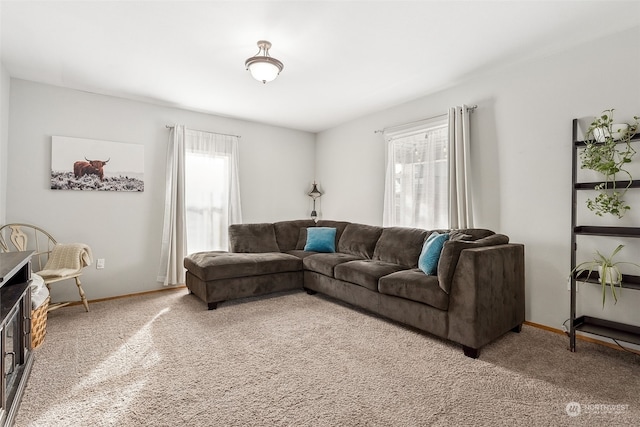 living room featuring carpet flooring