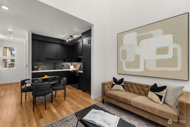 living room with sink, track lighting, and light hardwood / wood-style floors