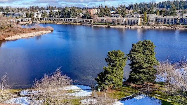 drone / aerial view featuring a water view