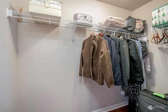 view of walk in closet