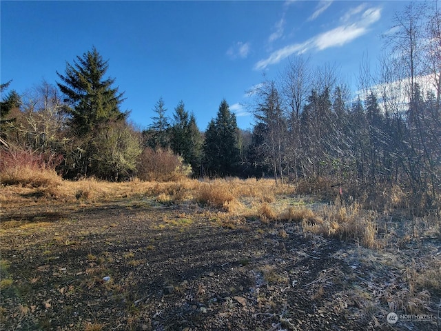 889 Altoona Pillar Rock Rd, Rosburg, WA 98643