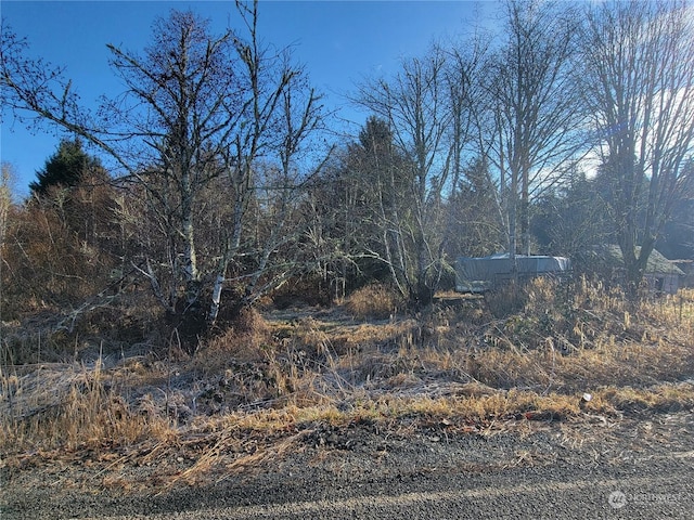 889 Altoona Pillar Rock Rd, Rosburg, WA 98643