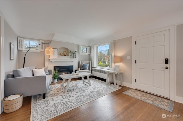 living room with radiator and hardwood / wood-style floors