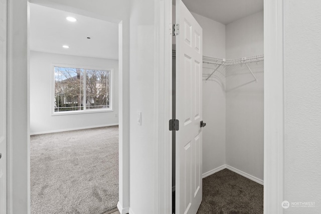 walk in closet with carpet