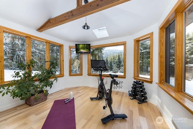 workout area featuring plenty of natural light, vaulted ceiling with skylight, and hardwood / wood-style floors