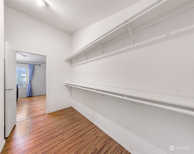 walk in closet with hardwood / wood-style flooring