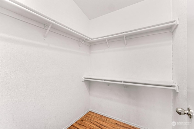 spacious closet with wood-type flooring