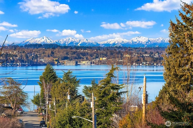 property view of water featuring a mountain view